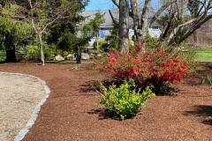 183484048_2734343723485709_4064886327016817153_n