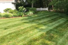 188745689_2742442909342457_1854052572571794456_n