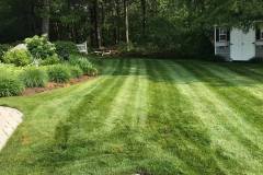 189319792_2742442932675788_5586181821197578677_n