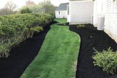 61466751_2190845277835559_8517542544563765248_n