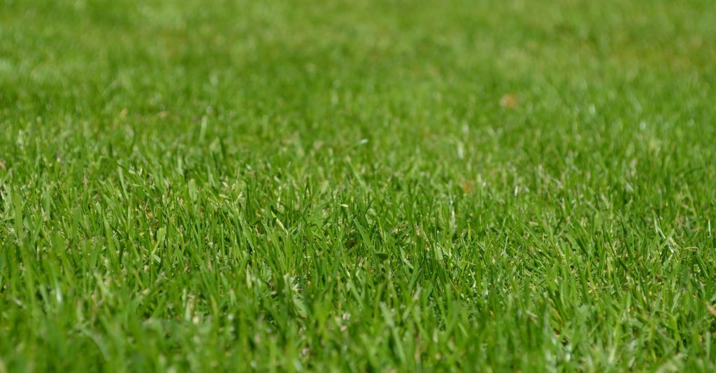 Lawn_care_Yarmouth